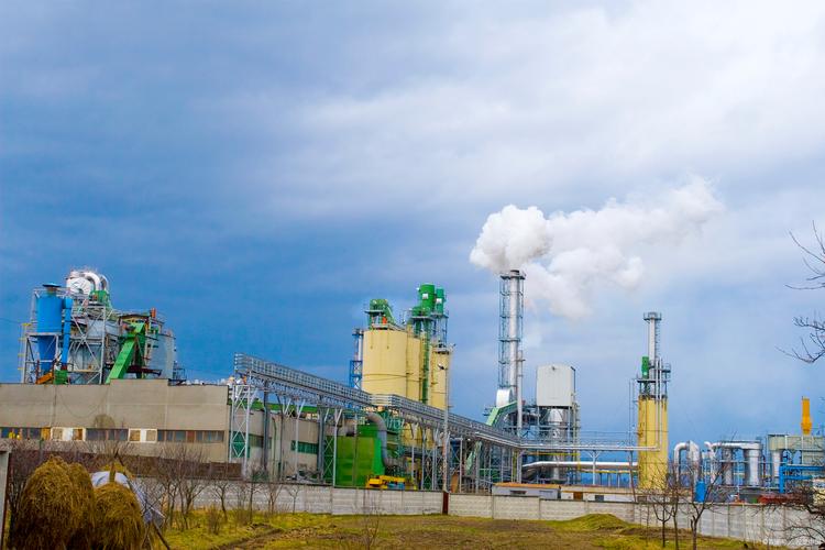 林產(chǎn)化工 探尋森林資源的化學(xué)密碼與綠色未來(lái)